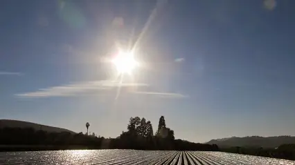 A low sun over the fields