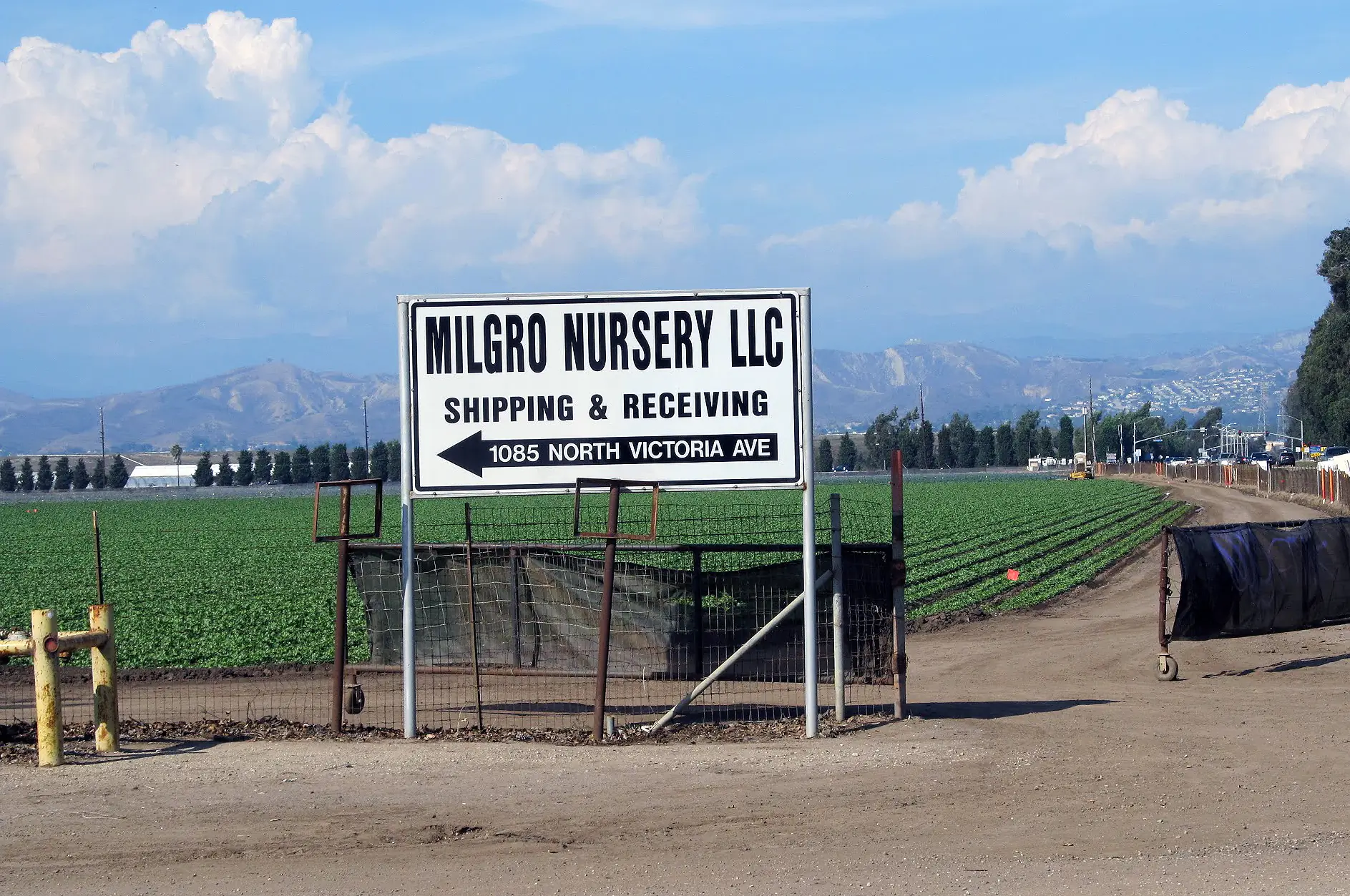 Oxnardlaborlawyer OxnardFarmland